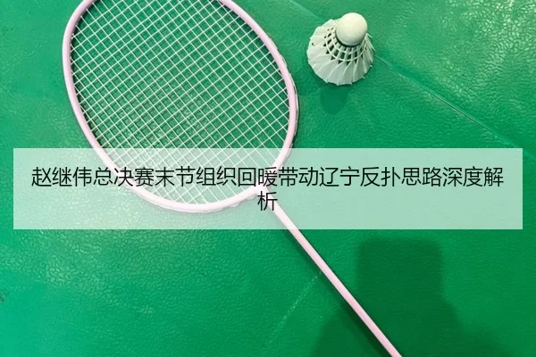 赵继伟总决赛末节组织回暖带动辽宁反扑思路深度解析